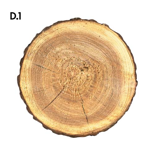 Dřevo_motiv.jpg Dřevo_motiv.jpg